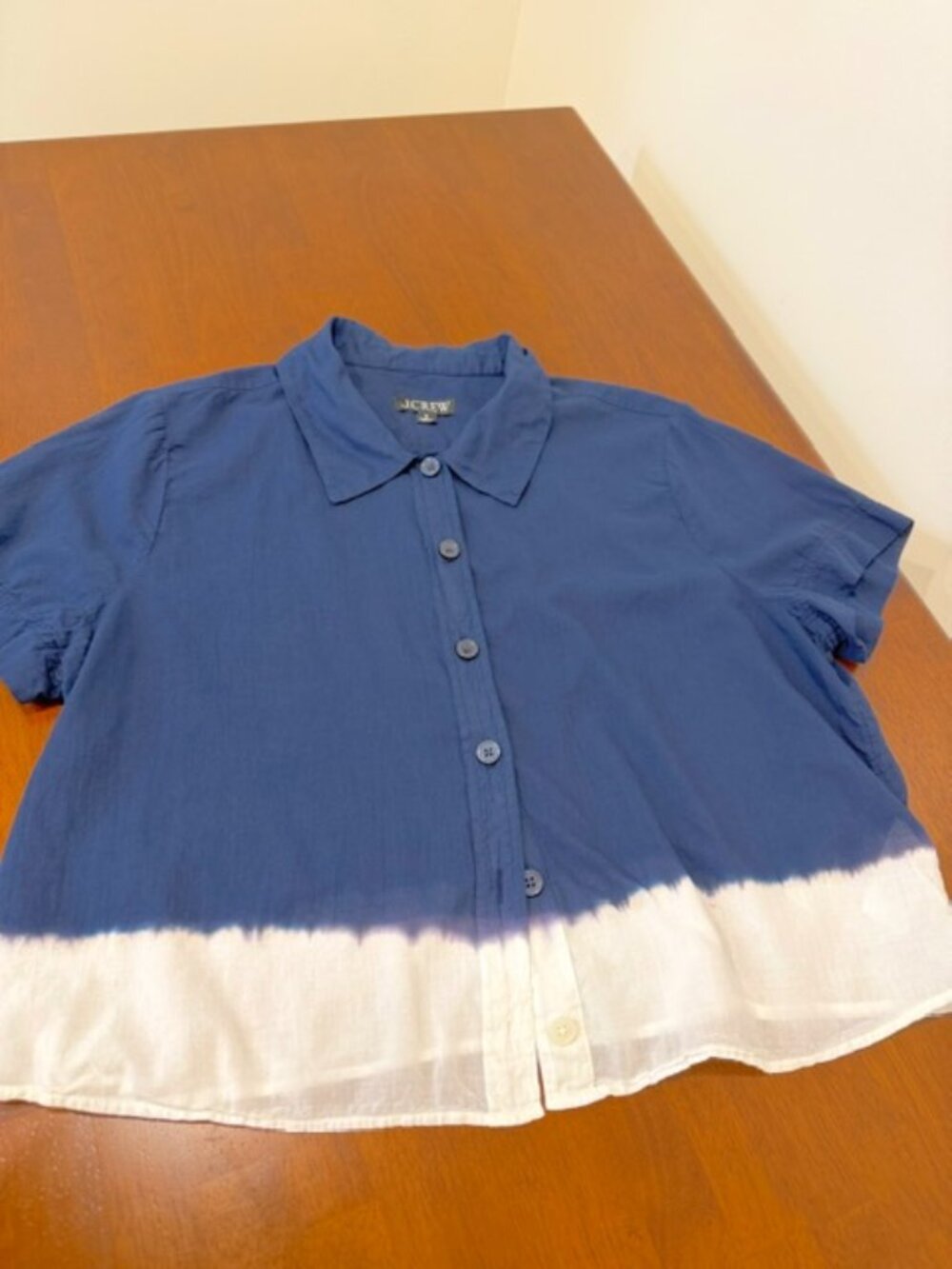 J. Crew Blue and White Button-Down Crop Shirt